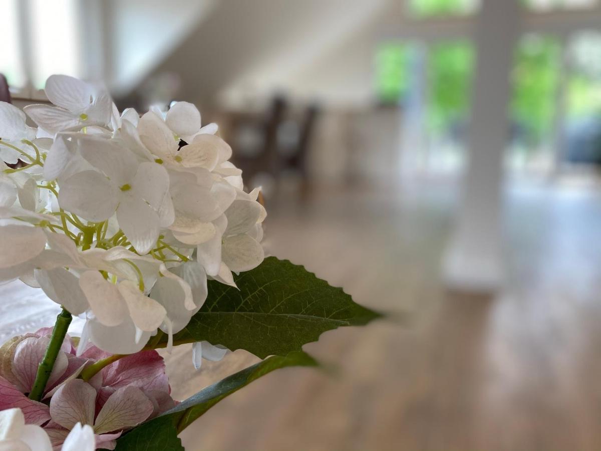 Ferienwohnung Koehler Bispingen Extérieur photo